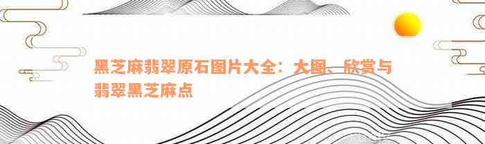 黑芝麻翡翠原石图片大全：大图、欣赏与翡翠黑芝麻点