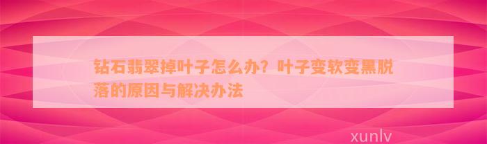 钻石翡翠掉叶子怎么办？叶子变软变黑脱落的原因与解决办法