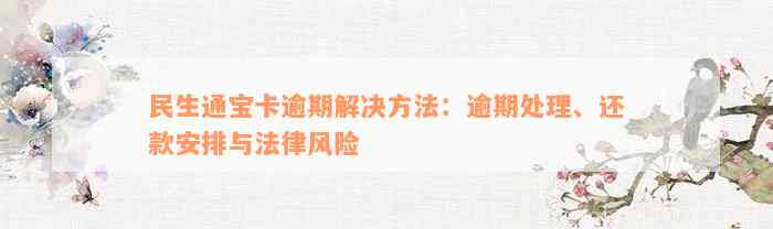 民生通宝卡逾期解决方法：逾期处理、还款安排与法律风险