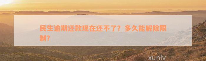 民生逾期还款现在还不了？多久能解除限制？