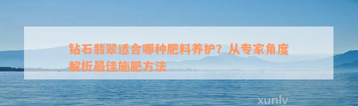 钻石翡翠适合哪种肥料养护？从专家角度解析最佳施肥方法