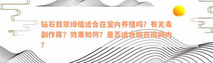 钻石翡翠绿植适合在室内养殖吗？有无毒副作用？效果如何？是否适合放在房间内？