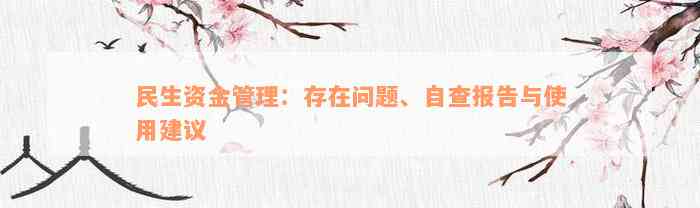 民生资金管理：存在问题、自查报告与使用建议