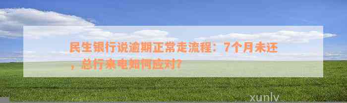 民生银行说逾期正常走流程：7个月未还，总行来电如何应对？