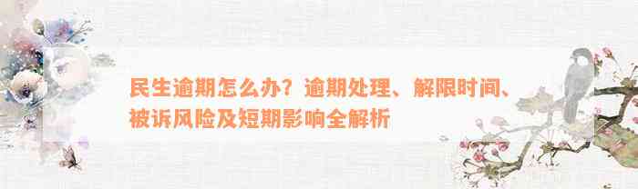 民生逾期怎么办？逾期处理、解限时间、被诉风险及短期影响全解析