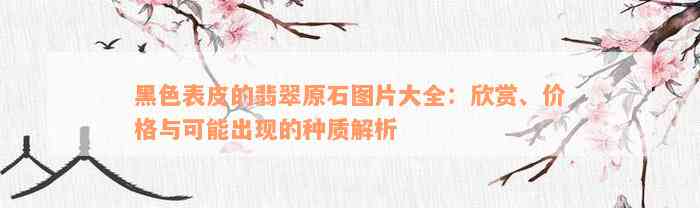 黑色表皮的翡翠原石图片大全：欣赏、价格与可能出现的种质解析