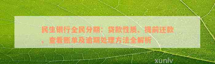 民生银行全民分期：贷款性质、提前还款、查看账单及逾期处理方法全解析