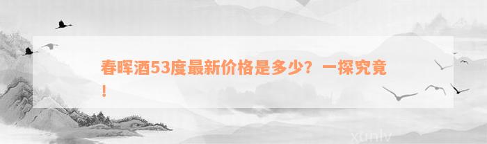 春晖酒53度最新价格是多少？一探究竟！