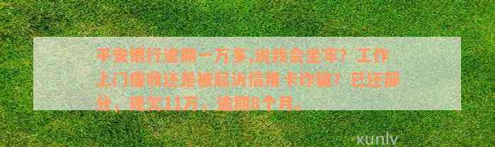 平安银行逾期一万多,说我会坐牢？工作上门催收还是被起诉信用卡诈骗？已还部分，现欠11万，逾期8个月。