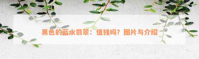 黑色的蓝水翡翠：值钱吗？图片与介绍