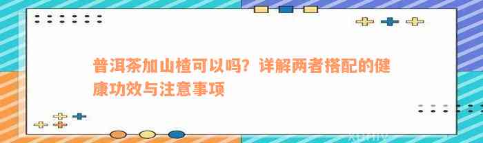 普洱茶加山楂可以吗？详解两者搭配的健康功效与注意事项