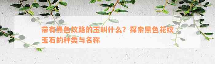 带有黑色纹路的玉叫什么？探索黑色花纹玉石的种类与名称