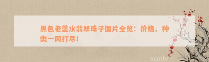 黑色老蓝水翡翠珠子图片全览：价格、种类一网打尽！