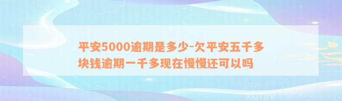 平安5000逾期是多少-欠平安五千多块钱逾期一千多现在慢慢还可以吗