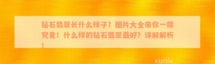 钻石翡翠长什么样子？图片大全带你一探究竟！什么样的钻石翡翠最好？详解解析！