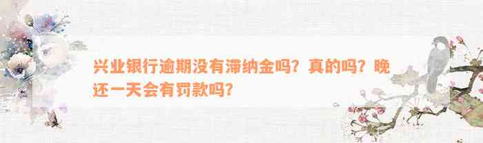 兴业银行逾期没有滞纳金吗？真的吗？晚还一天会有罚款吗？