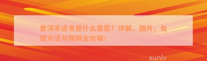 普洱茶退青是什么意思？详解、图片、处理方法与视频全攻略！