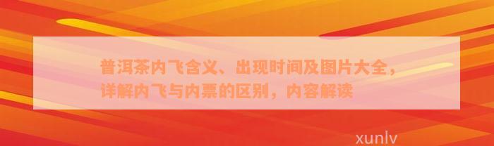 普洱茶内飞含义、出现时间及图片大全，详解内飞与内票的区别，内容解读