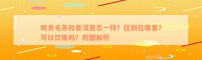 晒青毛茶和普洱是否一样？区别在哪里？可以饮用吗？附图解析