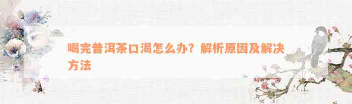 喝完普洱茶口渴怎么办？解析原因及解决方法