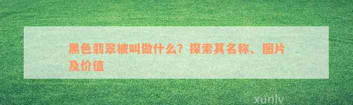 黑色翡翠被叫做什么？探索其名称、图片及价值