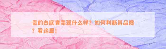 贵的白底青翡翠什么样？如何判断其品质？看这里！