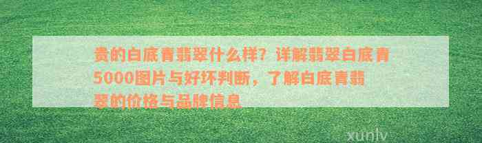 贵的白底青翡翠什么样？详解翡翠白底青5000图片与好坏判断，了解白底青翡翠的价格与品牌信息