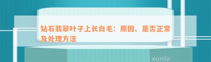 钻石翡翠叶子上长白毛：原因、是否正常及处理方法