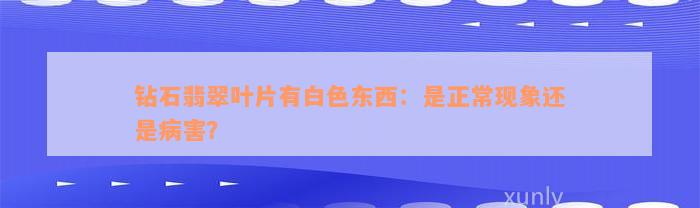 钻石翡翠叶片有白色东西：是正常现象还是病害？