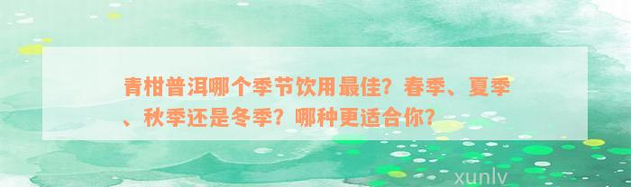 青柑普洱哪个季节饮用最佳？春季、夏季、秋季还是冬季？哪种更适合你？