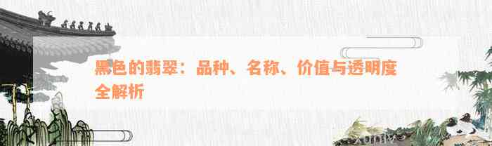 黑色的翡翠：品种、名称、价值与透明度全解析