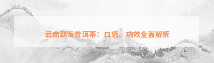 云南勐海普洱茶：口感、功效全面解析