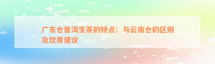 广东仓普洱生茶的特点：与云南仓的区别及饮用建议