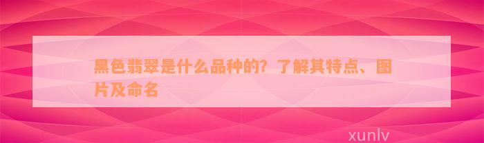 黑色翡翠是什么品种的？了解其特点、图片及命名