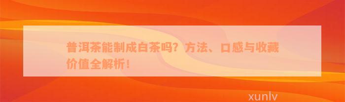 普洱茶能制成白茶吗？方法、口感与收藏价值全解析！