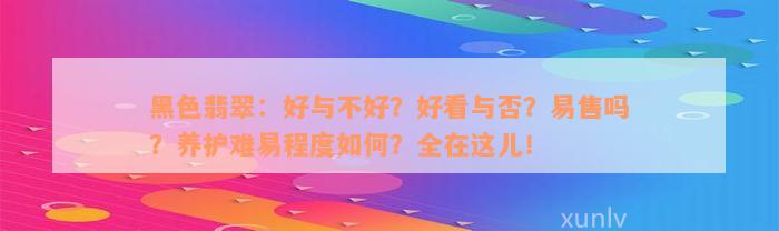 黑色翡翠：好与不好？好看与否？易售吗？养护难易程度如何？全在这儿！