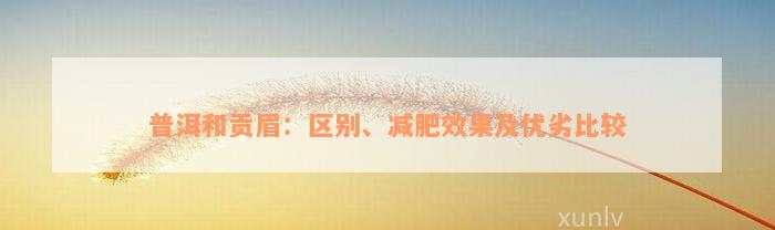 普洱和贡眉：区别、减肥效果及优劣比较