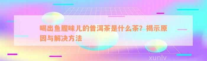 喝出鱼腥味儿的普洱茶是什么茶？揭示原因与解决方法