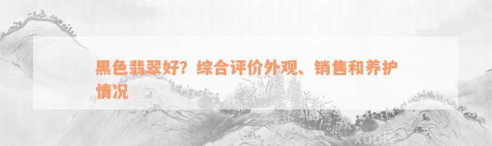 黑色翡翠好？综合评价外观、销售和养护情况