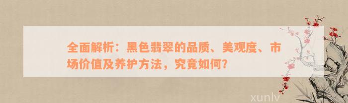 全面解析：黑色翡翠的品质、美观度、市场价值及养护方法，究竟如何？