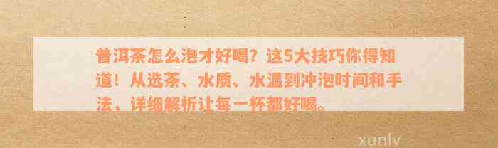 普洱茶怎么泡才好喝？这5大技巧你得知道！从选茶、水质、水温到冲泡时间和手法，详细解析让每一杯都好喝。