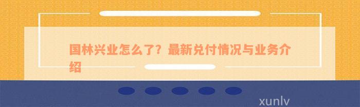 国林兴业怎么了？最新兑付情况与业务介绍