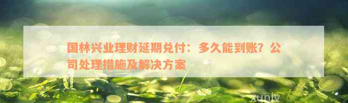 国林兴业理财延期兑付：多久能到账？公司处理措施及解决方案