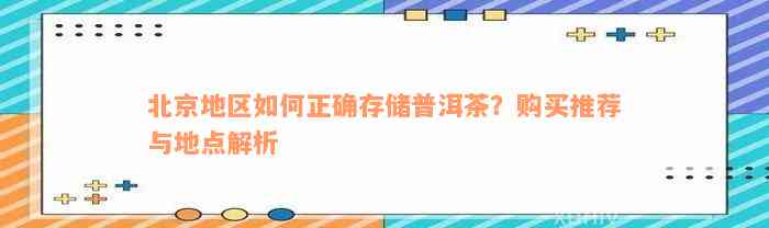 北京地区如何正确存储普洱茶？购买推荐与地点解析