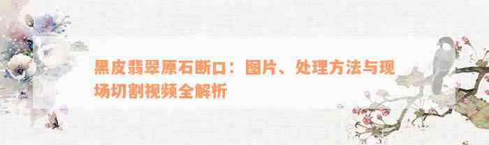 黑皮翡翠原石断口：图片、处理方法与现场切割视频全解析