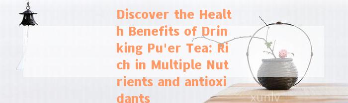 Discover the Health Benefits of Drinking Pu'er Tea: Rich in Multiple Nutrients and antioxidants