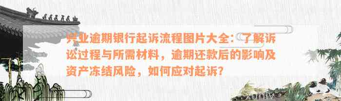 兴业逾期银行起诉流程图片大全：了解诉讼过程与所需材料，逾期还款后的影响及资产冻结风险，如何应对起诉？