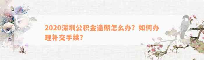 2020深圳公积金逾期怎么办？如何办理补交手续？