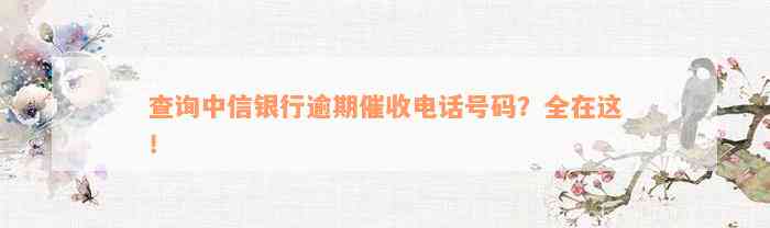 查询中信银行逾期催收电话号码？全在这！