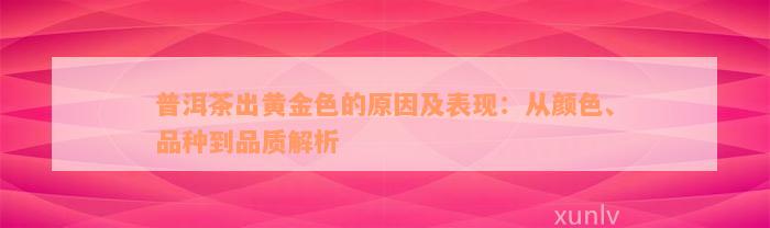 普洱茶出黄金色的原因及表现：从颜色、品种到品质解析